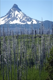 Mt. Washington (2958m)